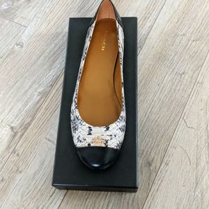 Coach Chelsea Shoe 8.5M